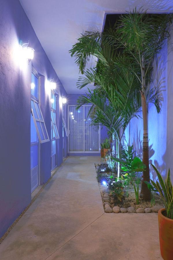 Casa Violeta Villa Mérida Exterior foto